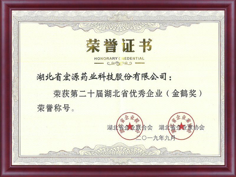  Outstanding Enterprise in Hubei Province (Golden Crane Award)